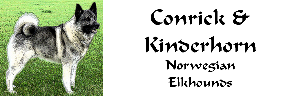 Conrick and Kinderhorn Norwegian Elkhounds banner featuring Raider